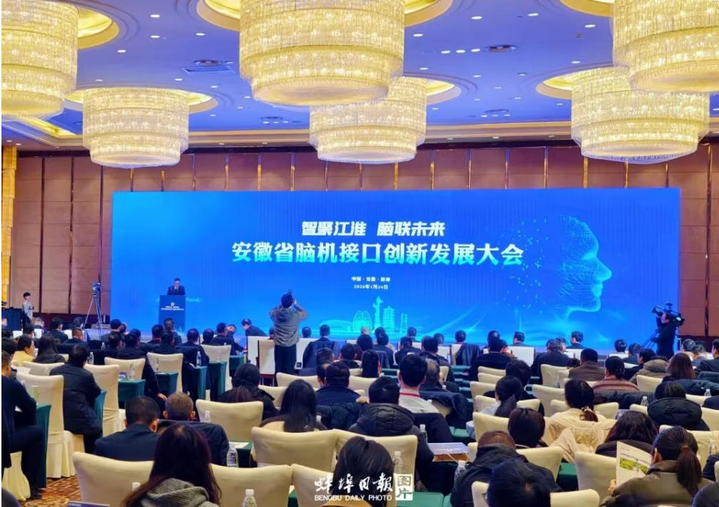 最强大脑1.jpg 最强大脑1.jpg