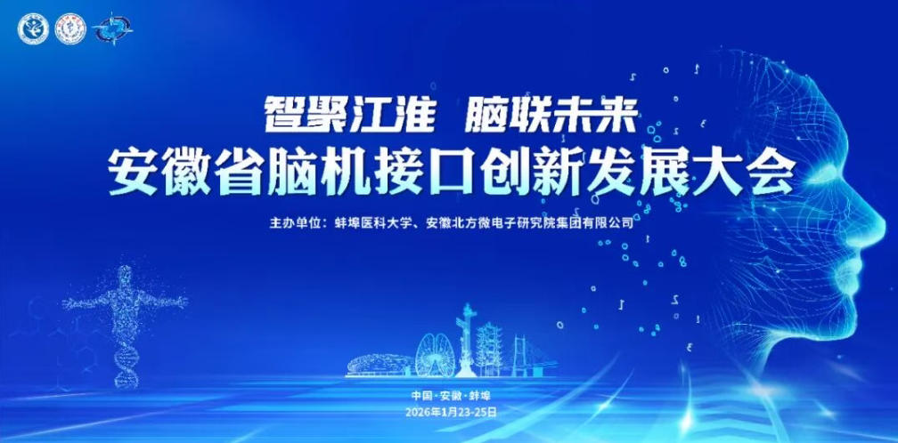 最强大脑2.jpg 最强大脑2.jpg
